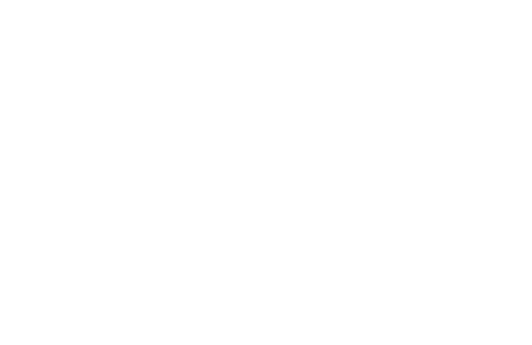 Missing alt text value